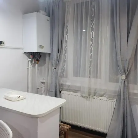 Studio Ris Harmanului Centrul Nou * Brasov
