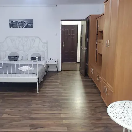 Studio Ris Harmanului Centrul Nou * Brasov